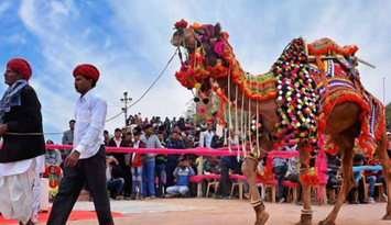 Colorful Rajasthan Safari
