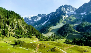 Royal Kashmir Delight